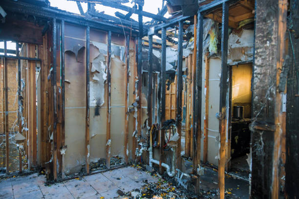 Professional Smoke Damage Removal technician working in Pflugerville, TX